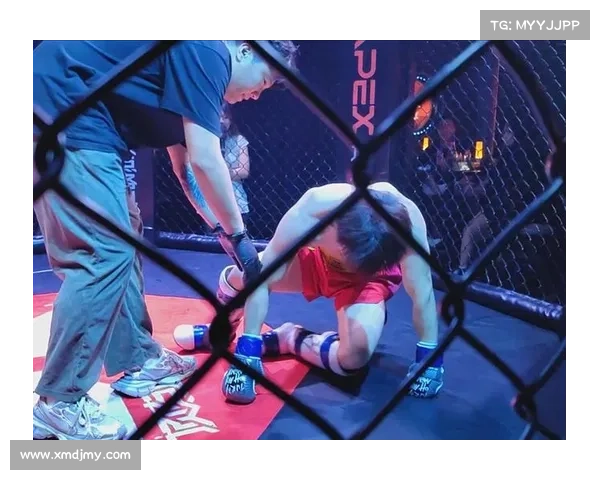 mma什么赛事-mma几大赛事 mma什么赛事-mma几大赛事