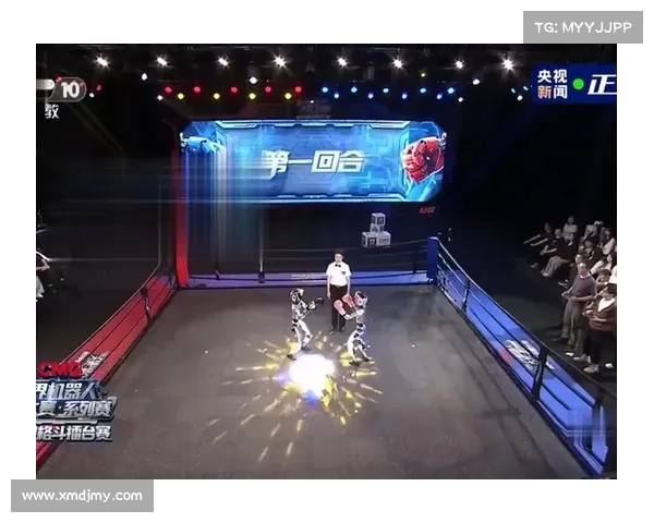 世界顶级格斗大赛