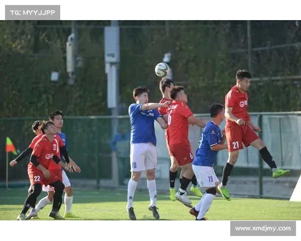 丹甲直播足球比赛视频